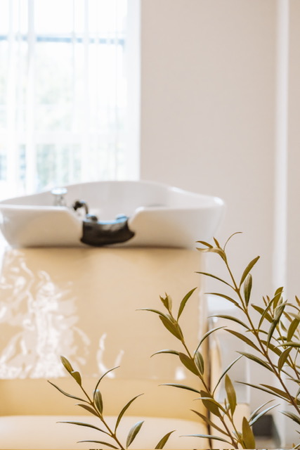 The Renovaré shampoo suite beside the studio window